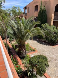 Appartements Apt 4-6pers-piscine-parc arbore : photos des chambres