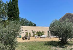 B&B / Chambres d'hotes Mas Chamsomat : photos des chambres