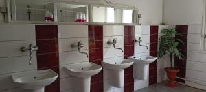 Ubytování Janami Rakvice