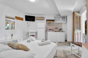 Tasoula Studio with garden view