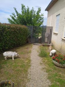 Villa familiale avec jacuzzi