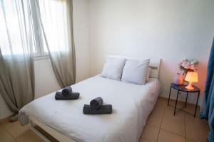 Superb T4 Souplex in Giens