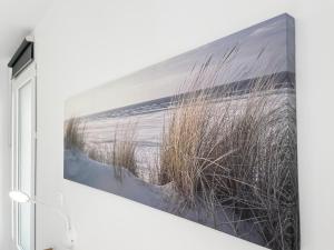 Studio entre Bordeaux et lAtlantique - Jardin