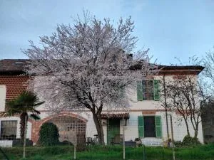 Cascina Patrizia - Sessant