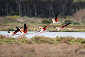 Oristano Home Sardinia img26