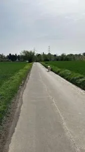 Schöne Wohnung im Grünen nah zur Messe - Mettmann