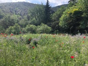 Maisons de vacances El refugio : photos des chambres