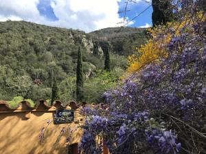 Maisons de vacances El refugio : photos des chambres