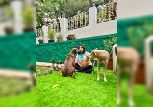 Angel House -your private pet friendly haven