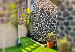 Angel House -your private pet friendly haven