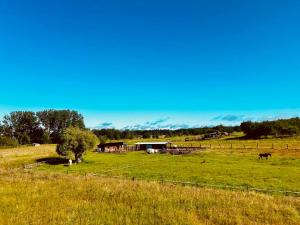 B&B / Chambres d'hotes LA CLEF DES SONGES : Grande Chambre Double 