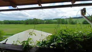 Agroturystyka "Pod złotą rybką"