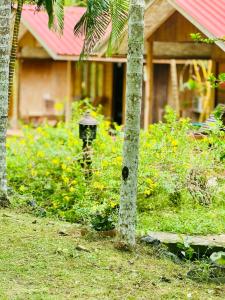 PRISTINE BEACH RESORT