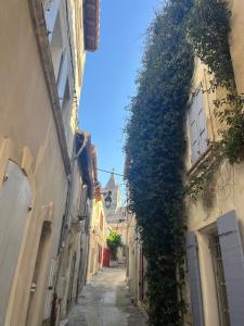 LARLAPPART Centre-ville Arles