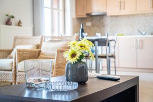 Koroni Family house with the best view