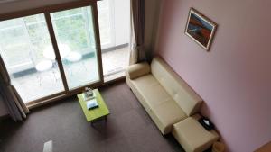 Dreaming Forest Pension Seogwipo