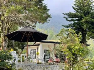 Mandara Ridge - Boralanda