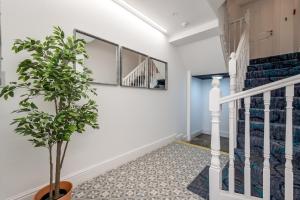 Central Belfast Apartments Queens Lofts