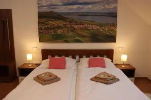 Pension Restaurace Florián - Pavlov