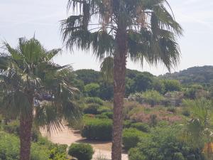 Appartements Les Marines de Gassin : photos des chambres