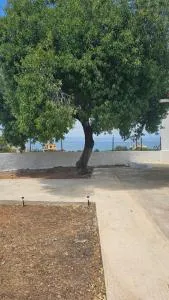 Maria's Place - Skala