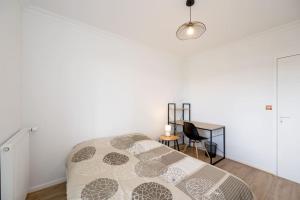 Appartements Grand apaprtement renove a neuf : Appartement