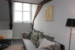 Luxurious and spacious apartment in historic building