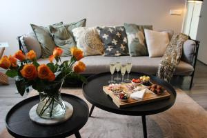 Luxurious and spacious apartment in historic building