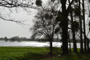 Villas Hameau Des Gardes : photos des chambres