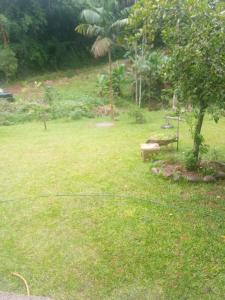 Cantinho de paz