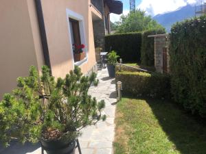 Ulivo Apartment VDA QUART 0035