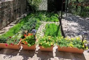 Clara Studios - Nor Aresh