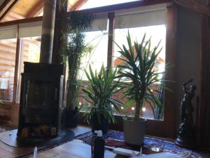 Maisons de vacances Landrosace : photos des chambres