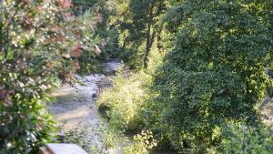 Appartements Gites de la Soulondre : photos des chambres