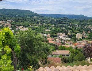 Le jardin des oliviers