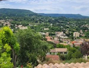 Le jardin des oliviers - Apt