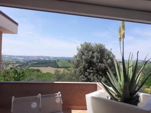 La Principessa Nera B&B