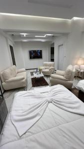 Special studio in private villa in new cairo 90 street villa 255 Panafsig 11