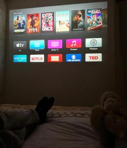 Appartements Charmant & Cosy T2 Toulousain : Appartement 1 Chambre