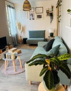 Charmant & Cosy T2 Toulousain