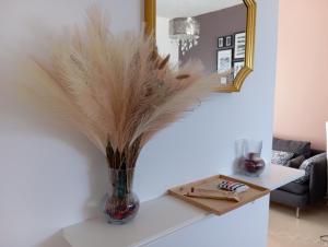 Alcudia Smir Apartment