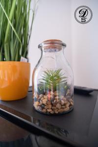 Domo San Leone Uta img52