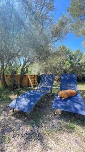 B&B / Chambres d'hotes Les Chardons Bleus : Chambre Double ou Lits Jumeaux - Vue sur Jardin