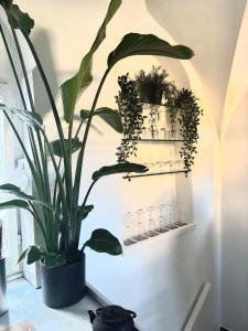 Navona Luxury Suite Apartment by NDP rent