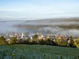 Hotels Auberge du Molveau : photos des chambres