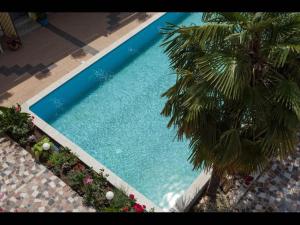 Apartments Paradisee 
