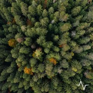 Placàt Eco Camping nel bosco - Bossico