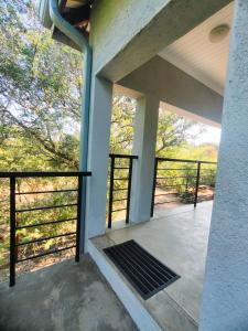 Giraffe Studio @ Kruger