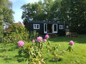 Pipowagen in Drenthe aan het Dwingelderveld