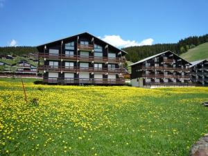 Appartements Charmant studio cabine avec balcon et vue sur pistes - FR-1-293-288 : photos des chambres